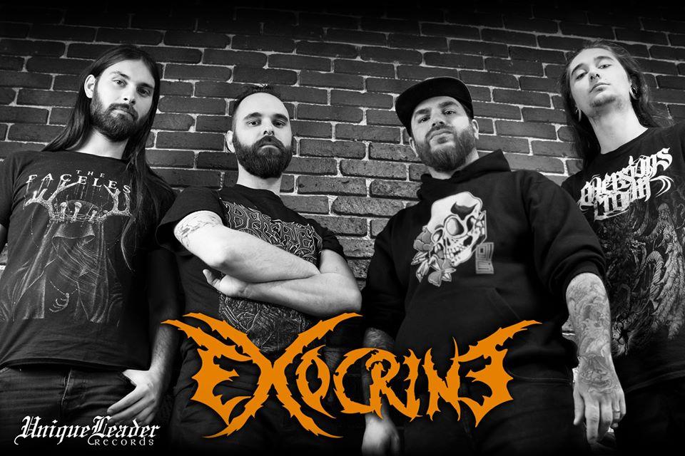 Exocrine 2019